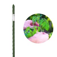 Acélkarók, cölöpök