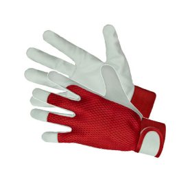   Kesztyű színkecskebőr sofőr tépőzáras mandzsettával 10-es