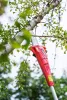 Teleszkópos láncfűrész Worcraft CPS-S20Li ShareSYS, 20V Li-Ion, magassági ágvágó, 8" OREGON láncvezető
