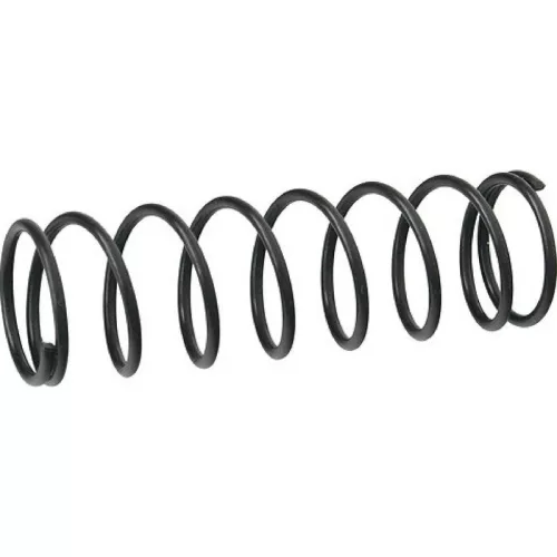 Strend Pro Premium 3169A-S, Csere rugó, 5 db