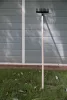 Strend Pro Premium R-606 10 fogú kerti gereblye, kovácsolt, fa nyél