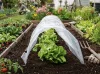 Strend Pro Greenhouse, Palántanevelő mini fóliasátor, 55x600x40 cm
