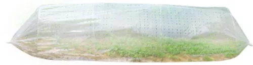 Strend Pro Garden, 310x100 cm, Mini palántanevelő fóliasátor, perforált