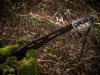 Strend Pro Tactical, Bozótvágó tokkal, fűrésszel, kézvédelemmel, fekete, 61 cm