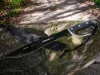 Strend Pro Tactical, Bozótvágó tokkal, fűrésszel, kézvédelemmel, fekete, 61 cm