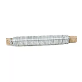   Strend Pro GreenYard 0,65 mm, Zn, horganyzott kötözőacél, 100 g tekercs