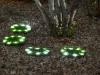 Strend Pro 6155, Műfűből készült napelemes kör lámpák, 4 db, 24 cm, 4x 8 LED, AA