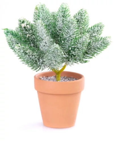 MagicHome, karácsonyi dísz, Ágak cserépben, havas, 20 cm
