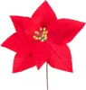 MagicHome, Karácsonyi Mikulásvirág, piros, 21 cm, virágméret: 16,5 cm