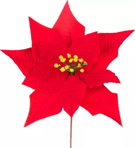 MagicHome, Karácsonyi Mikulásvirág, piros, 24 cm, virágméret: 24 cm